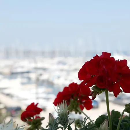 Mara Apartman Biograd na Moru